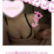 ヒメ日記 2025/11/30 16:02 投稿 甘寧もも AJ DOLLS(エージェイドールズ)