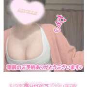 ヒメ日記 2025/12/11 16:22 投稿 甘寧もも AJ DOLLS(エージェイドールズ)