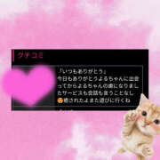 ヒメ日記 2025/08/29 06:39 投稿 よる 恋愛生欲情の扉