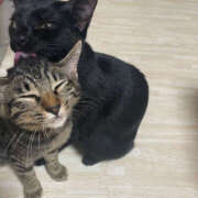 ヒメ日記 2025/09/06 07:49 投稿 よる 恋愛生欲情の扉