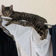 ヒメ日記 2025/09/22 20:59 投稿 よる 恋愛生欲情の扉