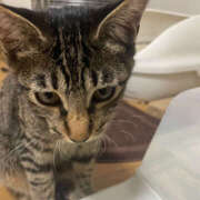 ヒメ日記 2025/09/26 22:19 投稿 よる 恋愛生欲情の扉