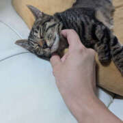 ヒメ日記 2025/10/22 22:22 投稿 よる 恋愛生欲情の扉