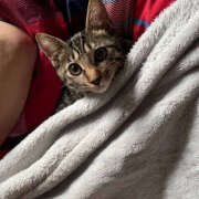 ヒメ日記 2025/10/24 23:49 投稿 よる 恋愛生欲情の扉