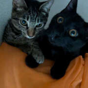 ヒメ日記 2025/10/29 16:49 投稿 よる 恋愛生欲情の扉