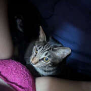 ヒメ日記 2025/11/01 03:29 投稿 よる 恋愛生欲情の扉