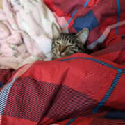 ヒメ日記 2025/11/06 16:09 投稿 よる 恋愛生欲情の扉