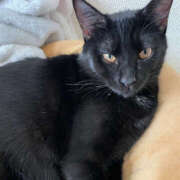 ヒメ日記 2025/11/08 21:49 投稿 よる 恋愛生欲情の扉