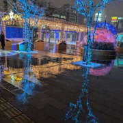 ヒメ日記 2025/12/09 17:49 投稿 よる 恋愛生欲情の扉