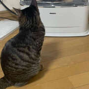 ヒメ日記 2025/12/15 08:29 投稿 よる 恋愛生欲情の扉