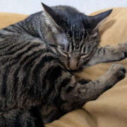 ヒメ日記 2025/12/16 17:39 投稿 よる 恋愛生欲情の扉