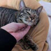 ヒメ日記 2025/12/24 13:59 投稿 よる 恋愛生欲情の扉