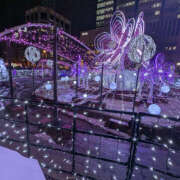 ヒメ日記 2025/12/28 01:09 投稿 よる 恋愛生欲情の扉