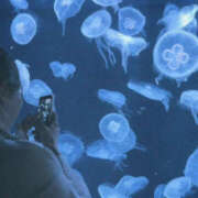 ヒメ日記 2026/01/03 14:39 投稿 よる 恋愛生欲情の扉