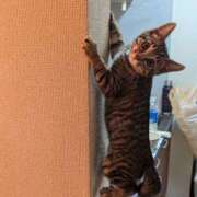 ヒメ日記 2026/02/08 10:39 投稿 よる 恋愛生欲情の扉