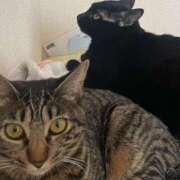 ヒメ日記 2026/02/08 21:29 投稿 よる 恋愛生欲情の扉