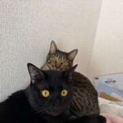 ヒメ日記 2026/04/27 17:29 投稿 よる 恋愛生欲情の扉