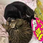 ヒメ日記 2026/06/09 15:49 投稿 よる 恋愛生欲情の扉