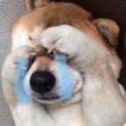 ヒメ日記 2026/03/01 14:38 投稿 ゆら 品川ハイブリッドマッサージ