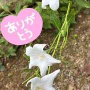 ヒメ日記 2025/08/02 16:58 投稿 中本まき 五十路マダム　和歌山店