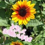 ヒメ日記 2025/08/03 08:50 投稿 中本まき 五十路マダム　和歌山店