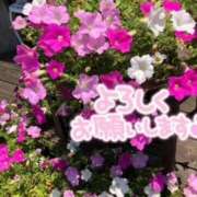 ヒメ日記 2025/08/03 15:36 投稿 中本まき 五十路マダム　和歌山店