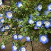 ヒメ日記 2025/08/07 19:40 投稿 中本まき 五十路マダム　和歌山店