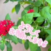 ヒメ日記 2025/08/08 19:58 投稿 中本まき 五十路マダム　和歌山店