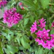 ヒメ日記 2025/08/12 09:28 投稿 中本まき 五十路マダム　和歌山店