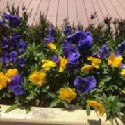 ヒメ日記 2025/08/18 10:22 投稿 中本まき 五十路マダム　和歌山店