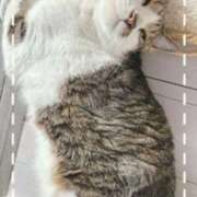 ヒメ日記 2025/11/16 09:26 投稿 中本まき 五十路マダム　和歌山店