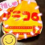 ヒメ日記 2025/11/27 08:22 投稿 中本まき 五十路マダム　和歌山店