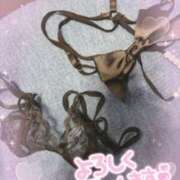 ヒメ日記 2026/03/20 19:02 投稿 中本まき 五十路マダム　和歌山店