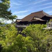 あや（人妻） ⛩️ Kyoto in Spring 🌸 Yシャツと私