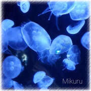 ヒメ日記 2025/07/29 14:16 投稿 武井みくる 宇都宮CLUB