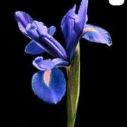 ヒメ日記 2026/03/27 14:34 投稿 小松原　ゆら エテルナ京都