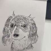 ひなた わんちゃん Sakura Palace-サクラパレス-