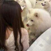 ヒメ日記 2025/10/02 01:38 投稿 なむ☆ CLUB PIAA