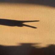 ヒメ日記 2025/07/30 13:07 投稿 めぐみ ぽっちゃり素人専門店 愛されぽっちゃり倶楽部 古川店