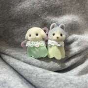 ヒメ日記 2025/08/16 12:59 投稿 橋本 AROMA VENUS