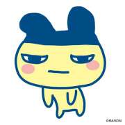 ヒメ日記 2025/08/24 14:09 投稿 橋本 AROMA VENUS