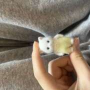 ヒメ日記 2025/08/25 11:53 投稿 橋本 AROMA VENUS