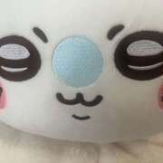 ヒメ日記 2025/10/06 15:27 投稿 橋本 AROMA VENUS