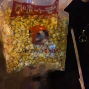 ヒメ日記 2025/11/24 22:38 投稿 橋本 AROMA VENUS