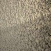 ヒメ日記 2026/01/02 19:14 投稿 橋本 AROMA VENUS