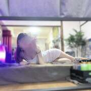 ヒメ日記 2026/02/06 15:33 投稿 橋本 AROMA VENUS