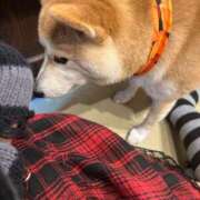 ヒメ日記 2025/07/04 00:29 投稿 もか ニューティアラ