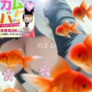 ヒメ日記 2026/09/19 10:15 投稿 のえる 熟女の風俗最終章 相模原店