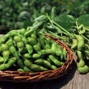 ヒメ日記 2025/07/07 21:30 投稿 みつる 性腺熟女100％鶯谷（デリヘル市場）