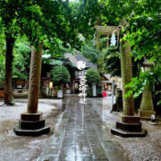 ヒメ日記 2025/07/25 10:35 投稿 みつる 性腺熟女100％鶯谷（デリヘル市場）